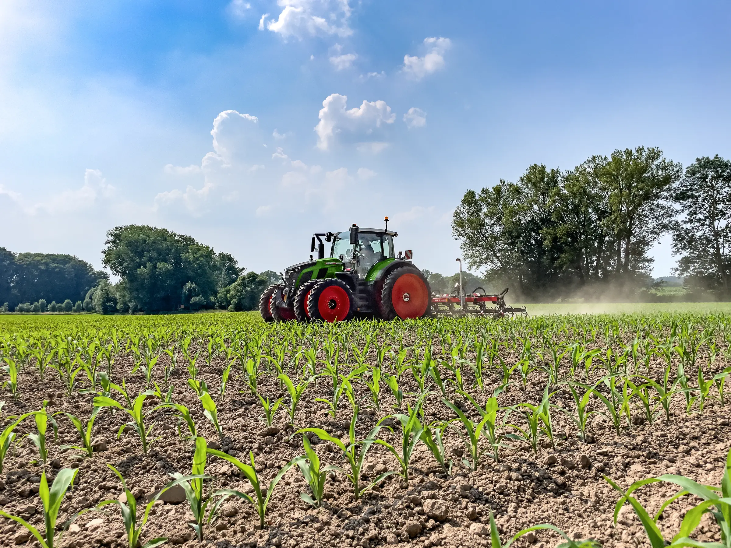 Fendt 600 Vario